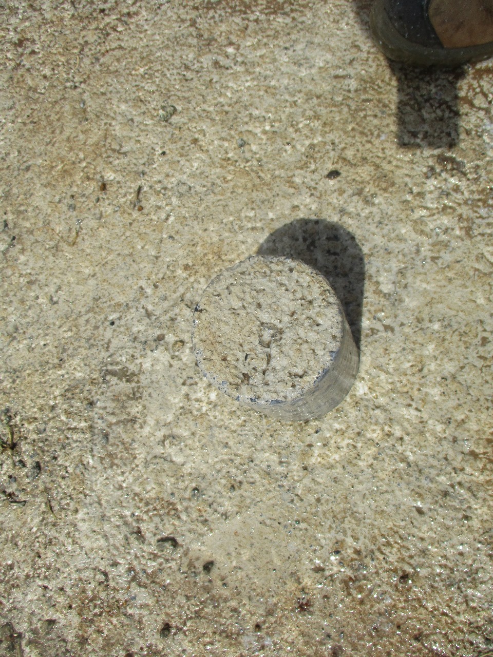 IMG-20240507-WA0046
